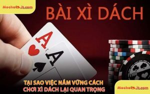 Tại Sao Việc Nắm Vững Cách Chơi Xì Dách Lại Quan Trọng