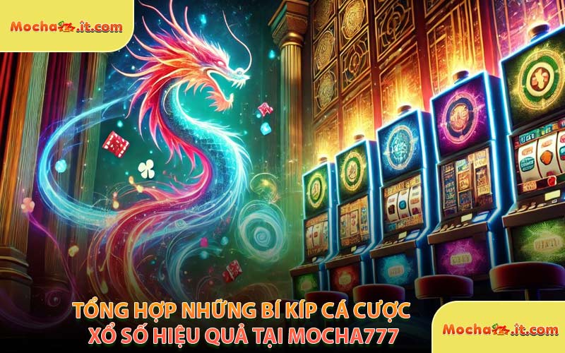 Tổng Hợp Những Bí Kíp Cá Cược Xổ Số Hiệu Quả Tại MOCHA777